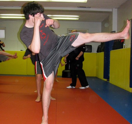 martial arts kick 002